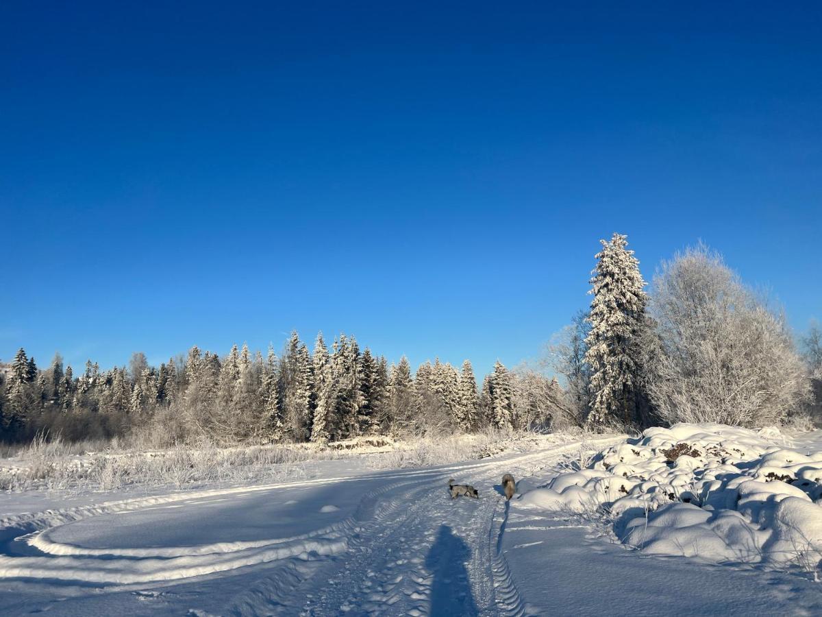 Pokoje U Danusi Czarna Góra Exteriör bild