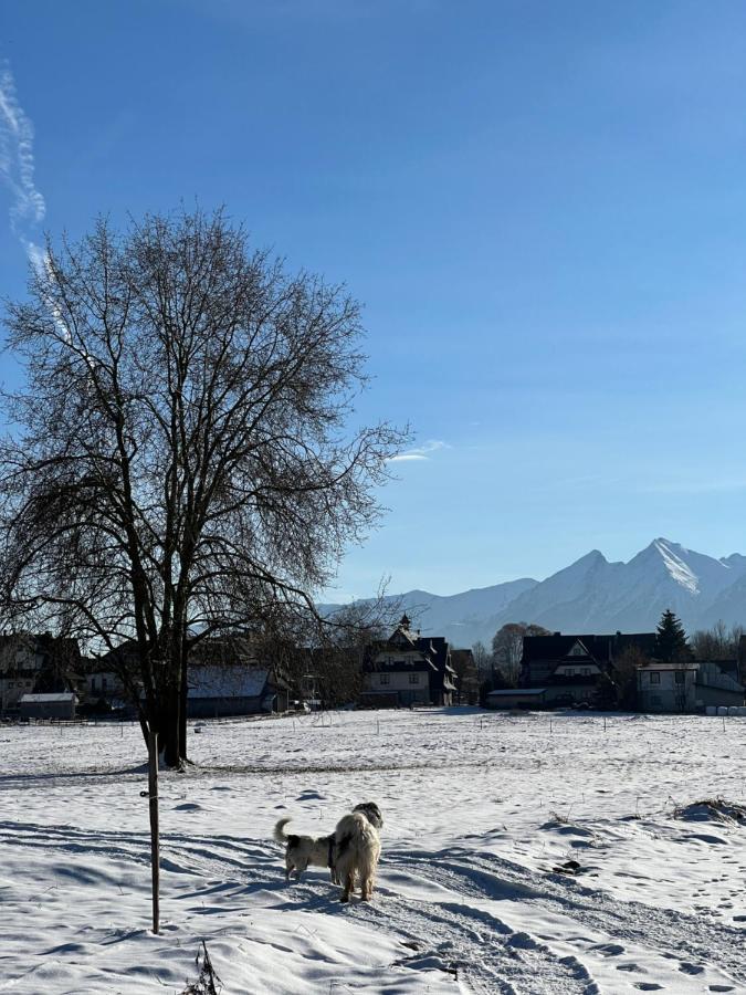 Pokoje U Danusi Czarna Góra Exteriör bild