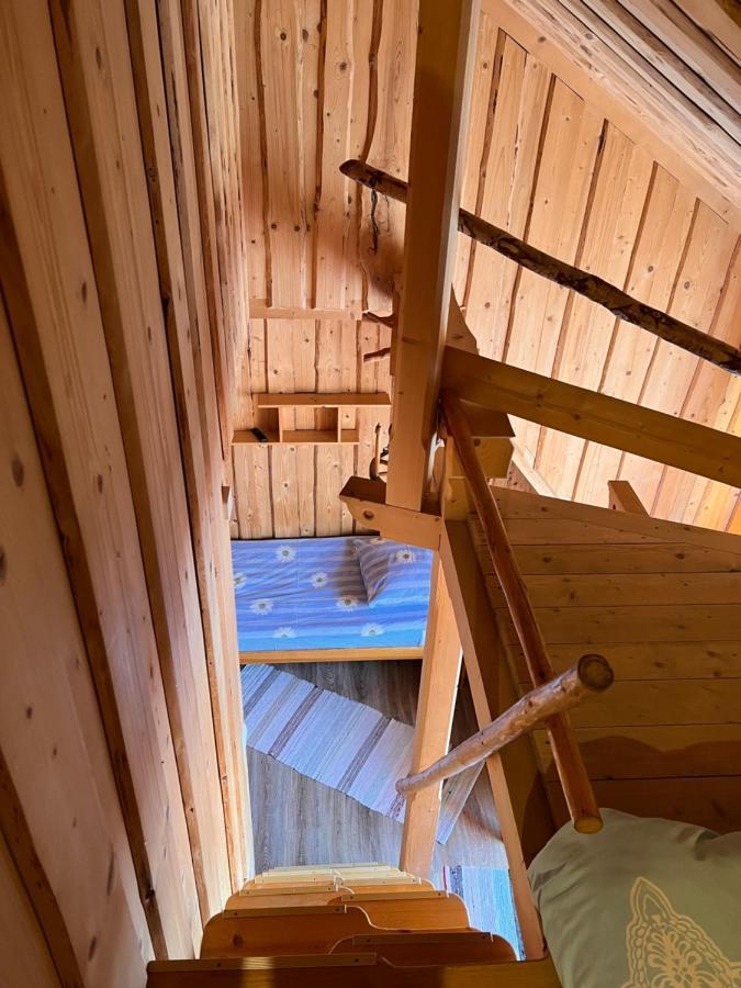 Pokoje U Danusi Czarna Góra Exteriör bild